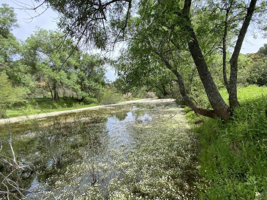 Finca La Alcolehuela En Parque Natural De Despenaperros サンタ・エレーナ エクステリア 写真