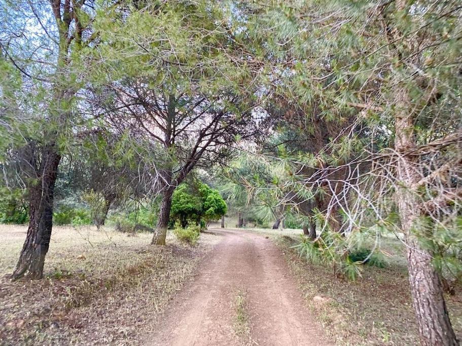 Finca La Alcolehuela En Parque Natural De Despenaperros サンタ・エレーナ エクステリア 写真