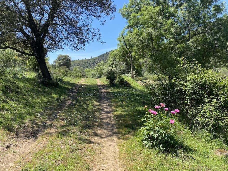 Finca La Alcolehuela En Parque Natural De Despenaperros サンタ・エレーナ エクステリア 写真