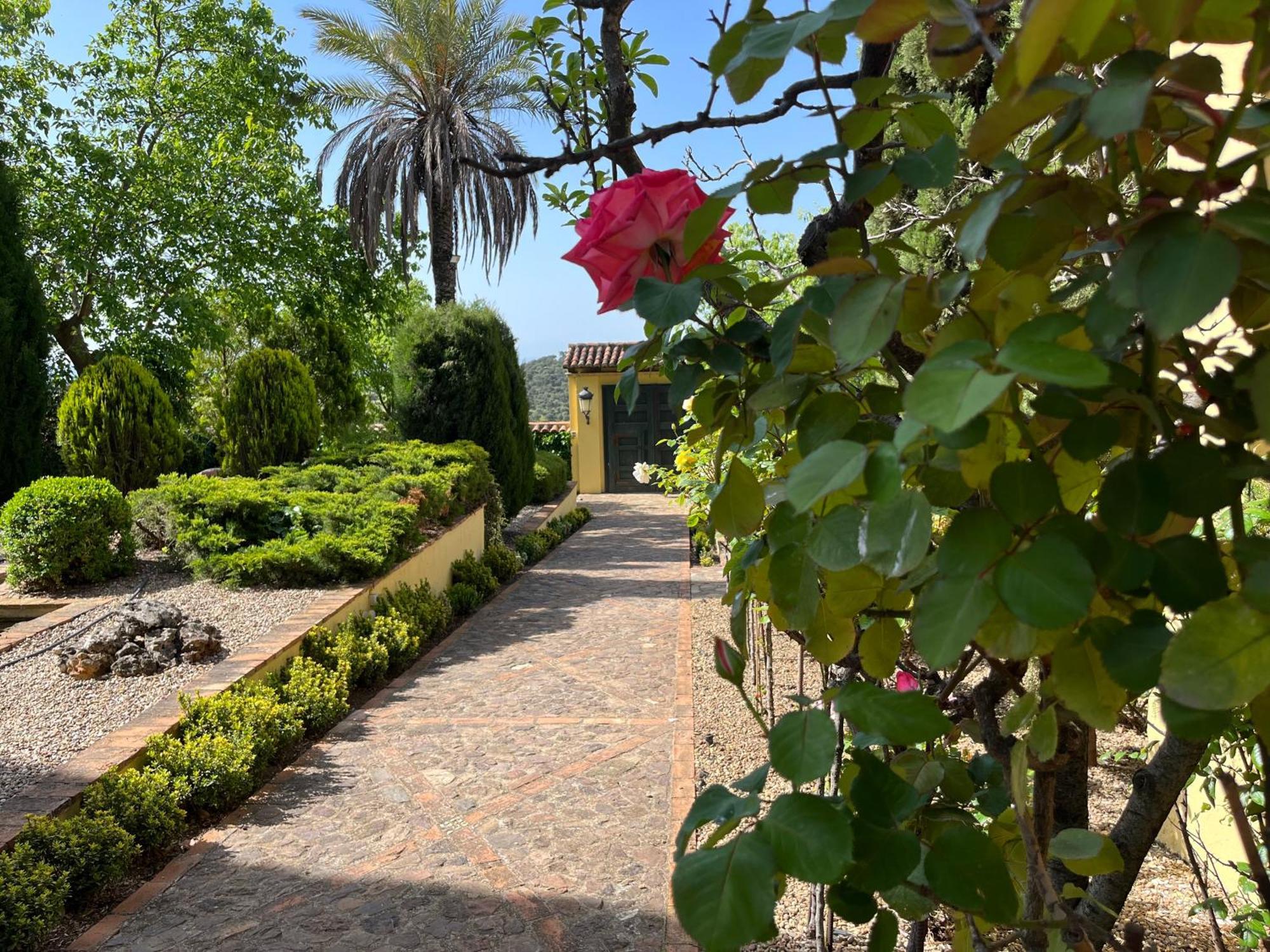 Finca La Alcolehuela En Parque Natural De Despenaperros サンタ・エレーナ エクステリア 写真